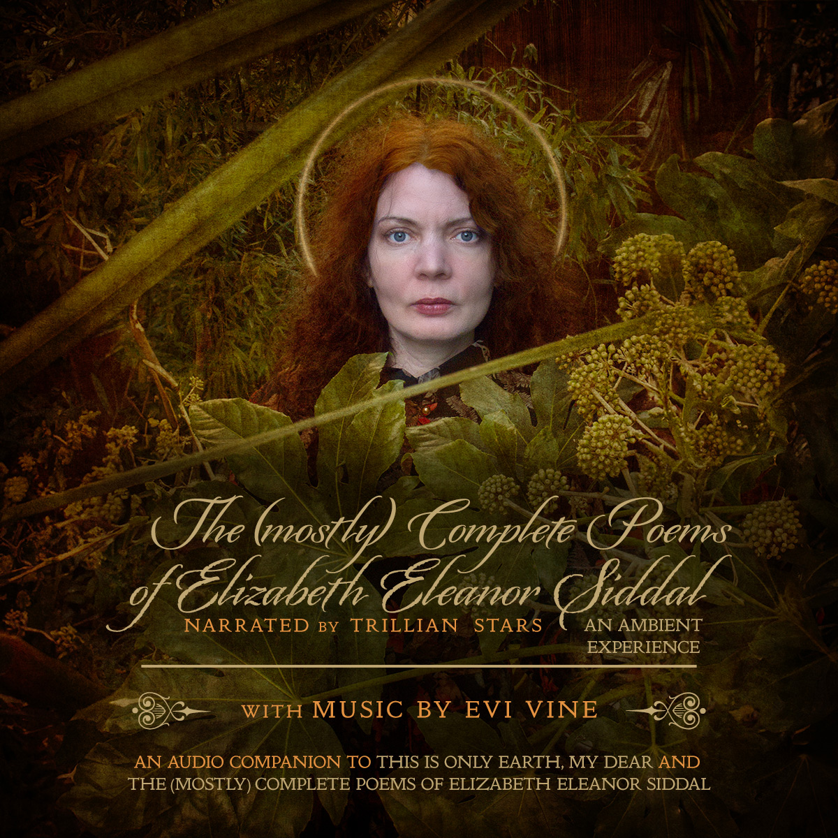 Audio Book Cover
